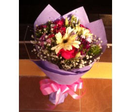 F14 RED MIXED COLLECTION